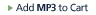 Add MP3 to cart
